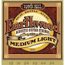 2003 Set cuerdas Guitarra Acustica 12-54 Ernie Ball EARTHWOOD BRONZE